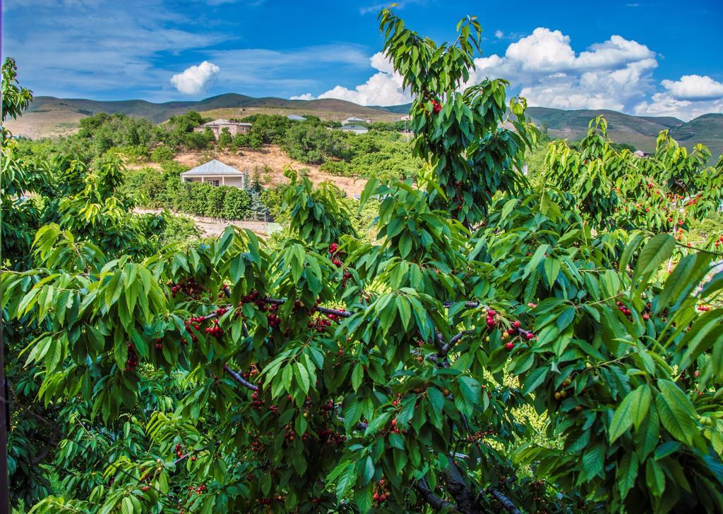 Geghadir Hyelandz Eco Village Resort المظهر الخارجي الصورة